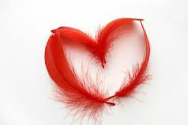 feather heart