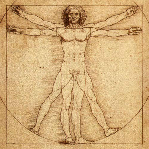 SK-102-0001_vitruvian_man_500