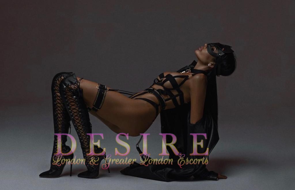 28dca38f-7b36-4d4d-9c3f-fad9a5c3de24-ink