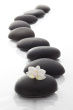 stock-photo-20260069-zen-spa-stones-with-flowers